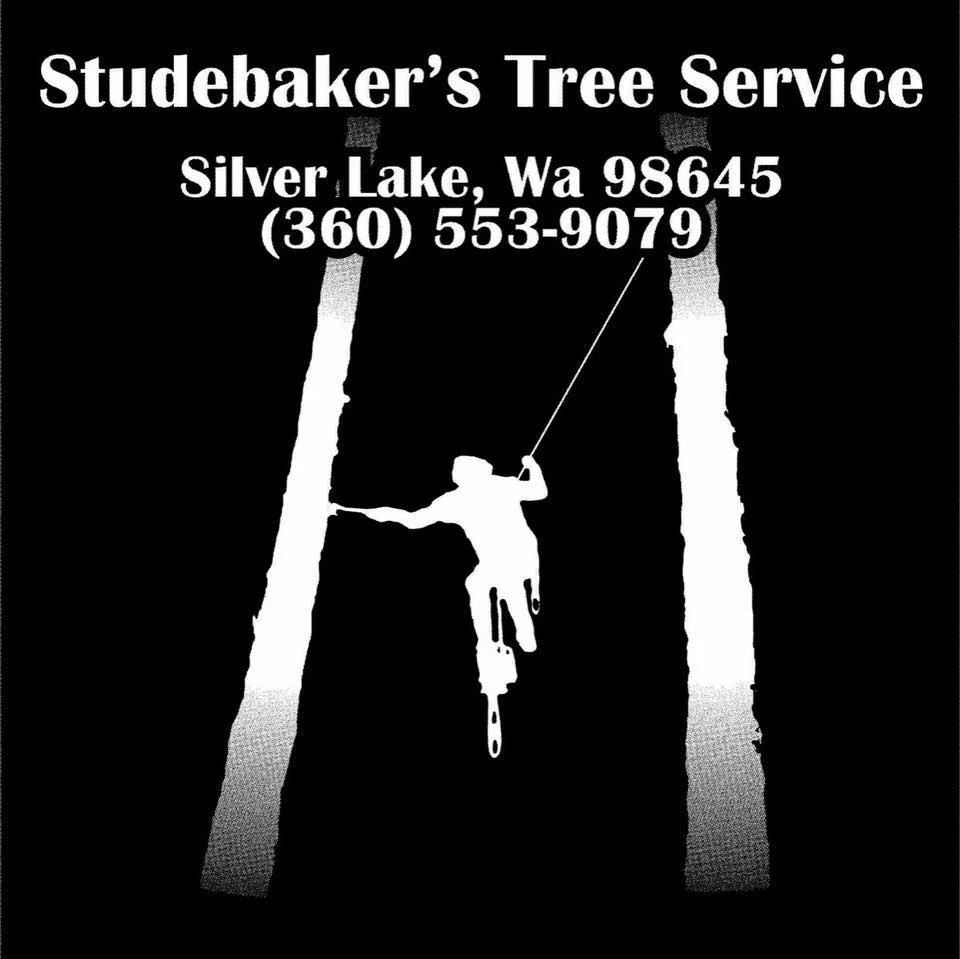 Studebaker Tree Services